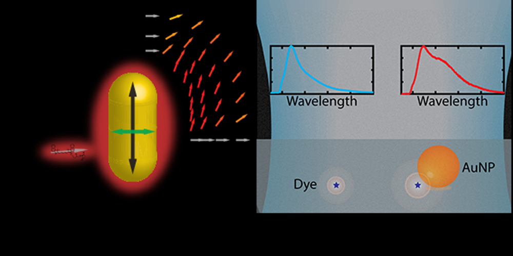A gold nanoparticle emits red light with arrows indicating fields. Graphs show wavelength shifts. Below, Dye and AuNP are labeled on a surface, each marked with a star and orange sphere respectively.