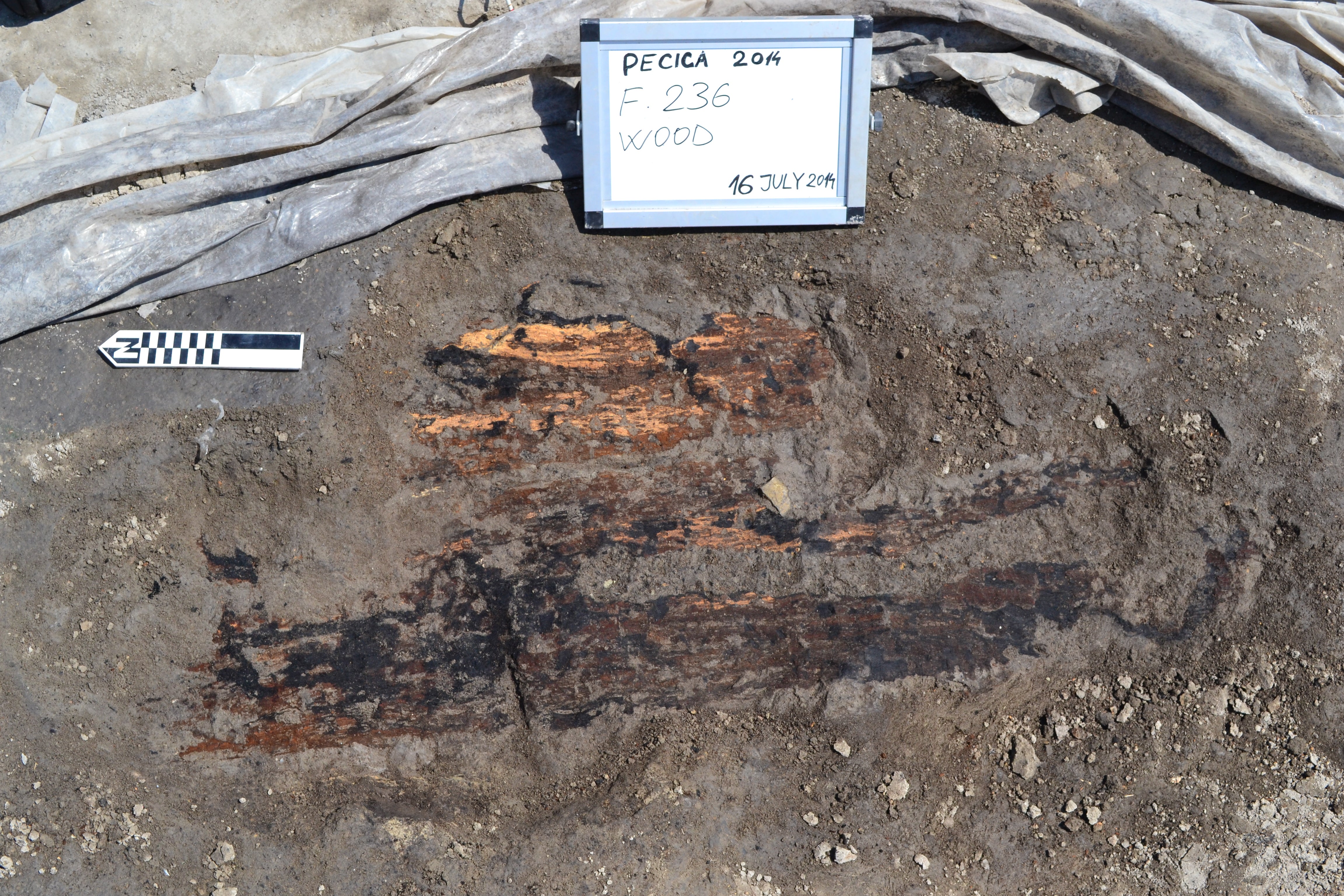 The wood found outside the Structure 11 wall trench.