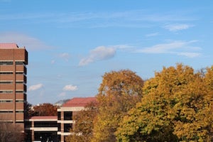 The view of Fall foliage from our lab on the fourth floor of Lorch Hall.
