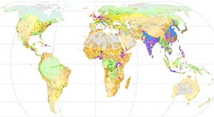 Global map of anthropogenic biomes in the year 2017