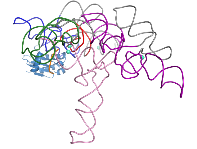 3Q1R-ternary complex-3