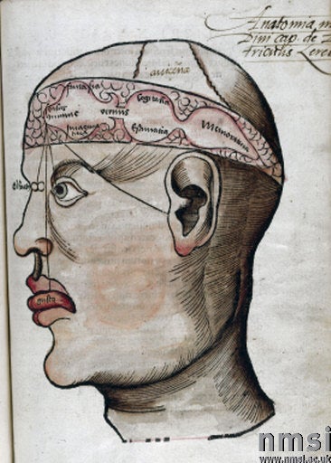'The anatomy of the brain', 1535.