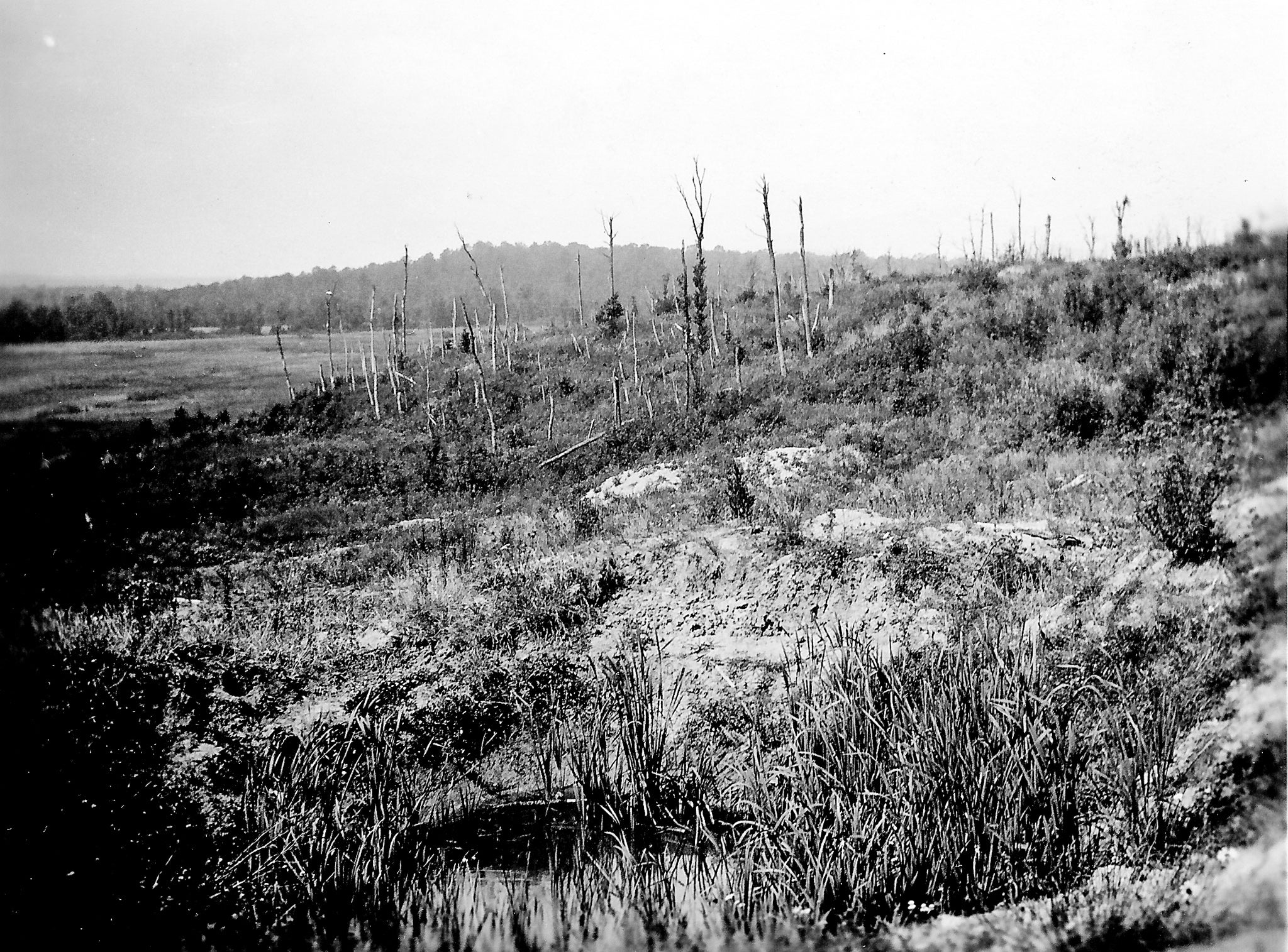 black and white photo of a parched field
