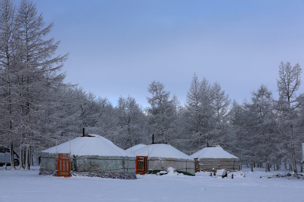 Three traditional yurts with orange doors stand in a snowy landscape, surrounded by frost-covered trees under a pale blue sky.
