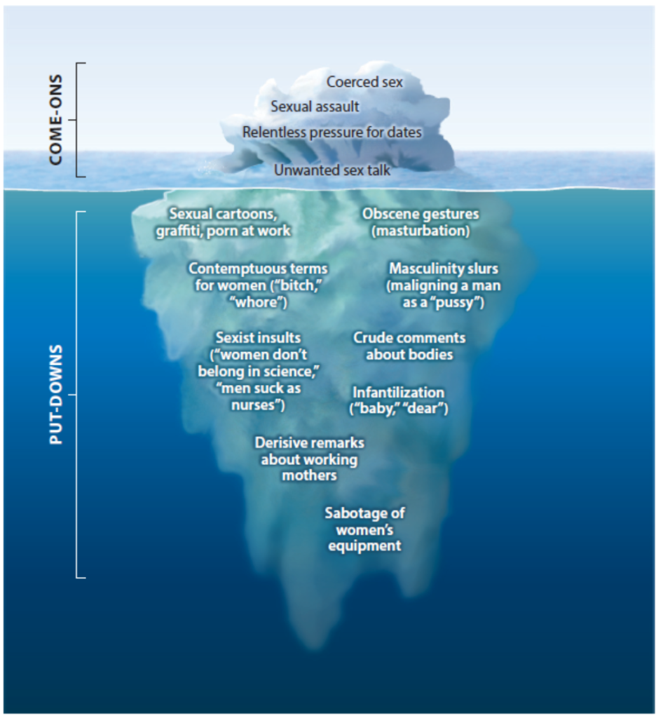 Figure 1 - Cortina's Iceberg of Sexual harassment, illustrating that most sexually harassing acts are put-downs (gender harassment) not come-ons (unwanted sexual attention or sexual coercion), but rarely break through to public awareness. 