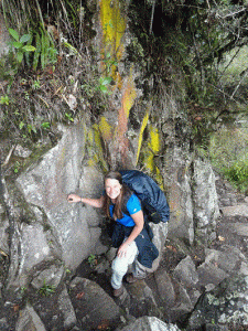 I am an Ecology and Evolutionary Biology grad student interested in tropical plant ecology and community interactions, as well as tropical forest conservation. ~Tamara Milton 