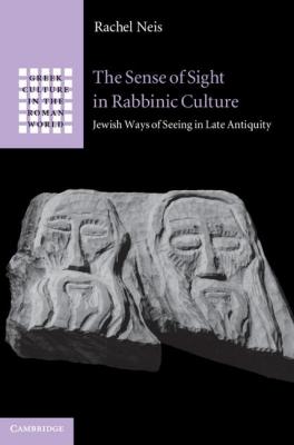 the_sense_of_sight_in_rabbinic_culture_by_rachel_neis_1107287871