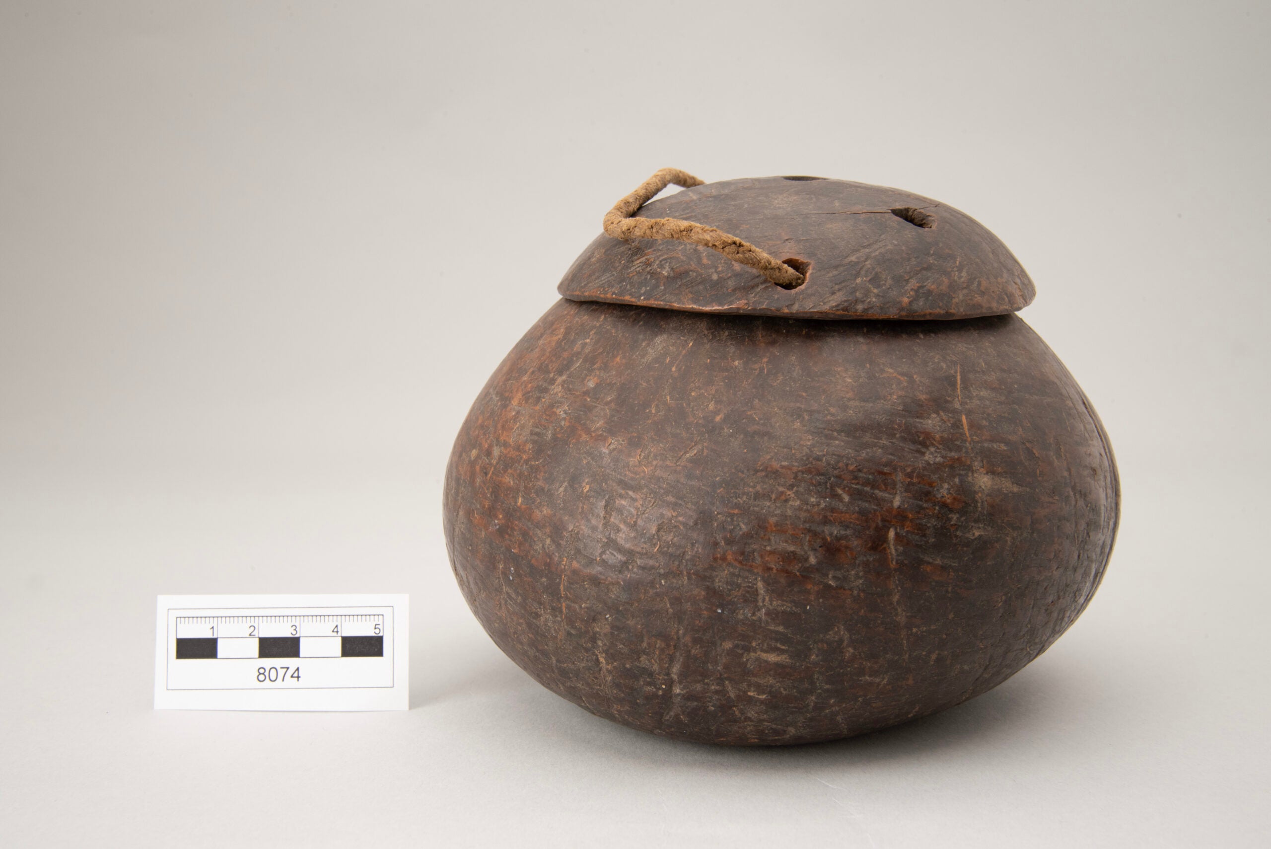 A container made out of out a coconut shell, with its lid on, seen from the side. The lid sits properly on the top of the container. It looks like a coconut from the side.