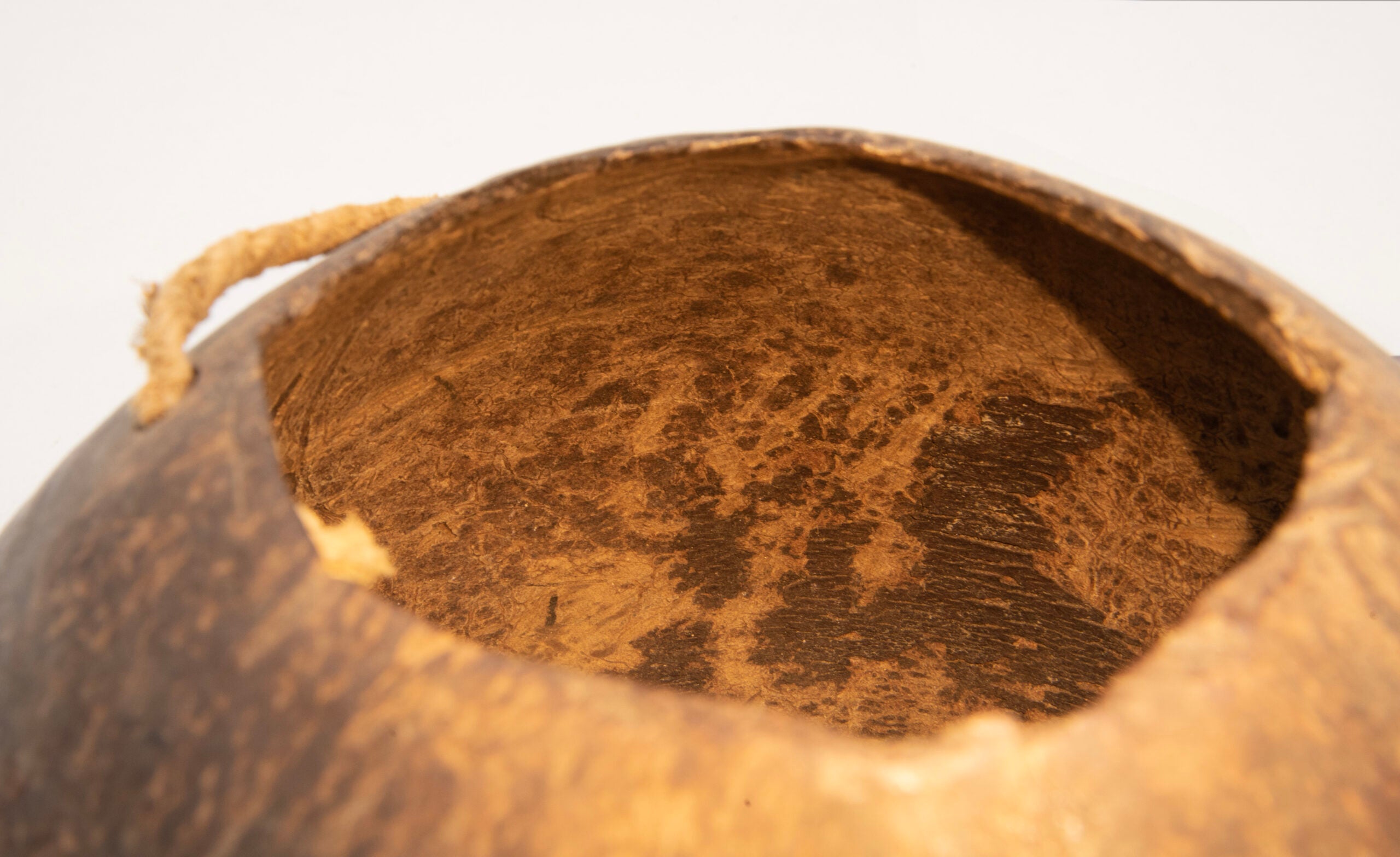 The interior of a coconut shell container. The interior is scraped, and cracks in the coconut are visible.
