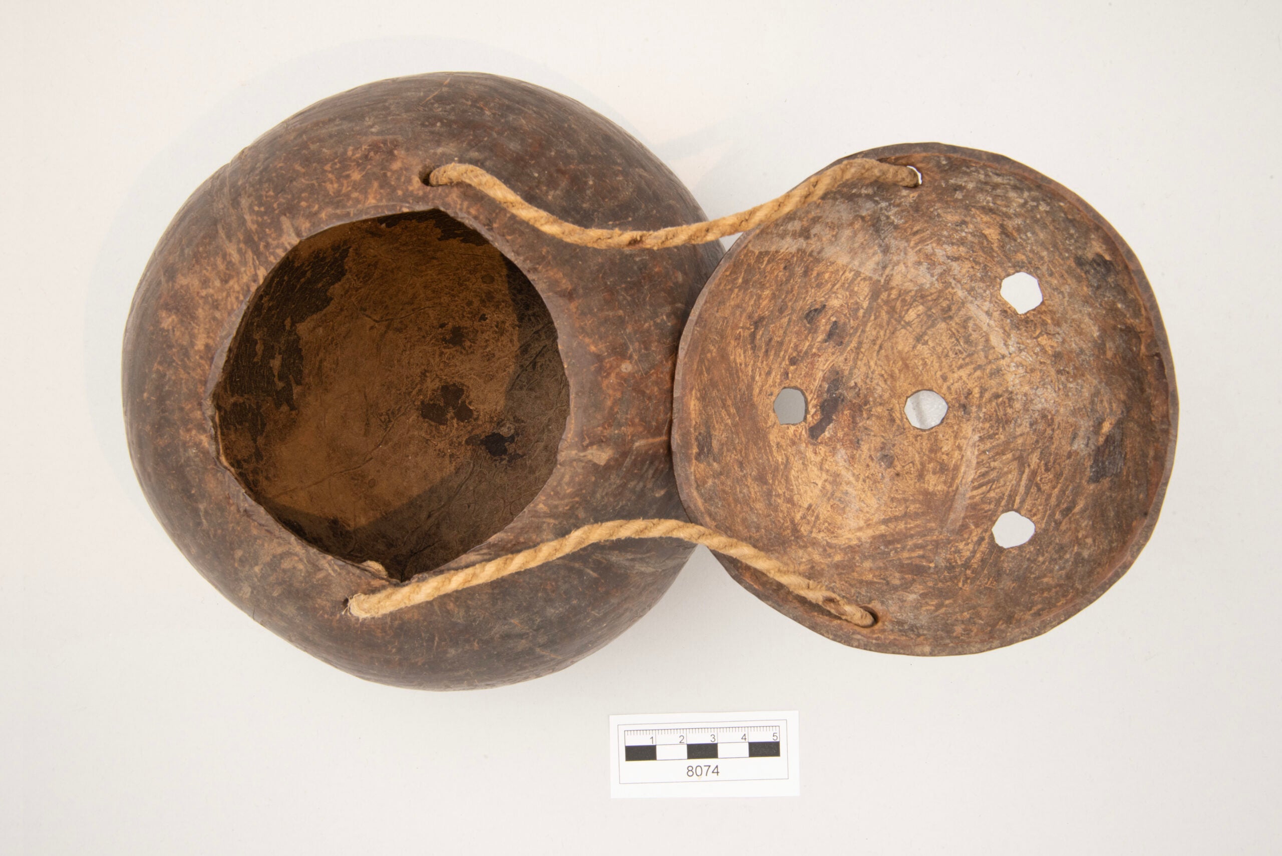 The coconut shell container with its lid open, showing the interior of the container and the lid. There are work marks visible on the inside of the lid and the shell.