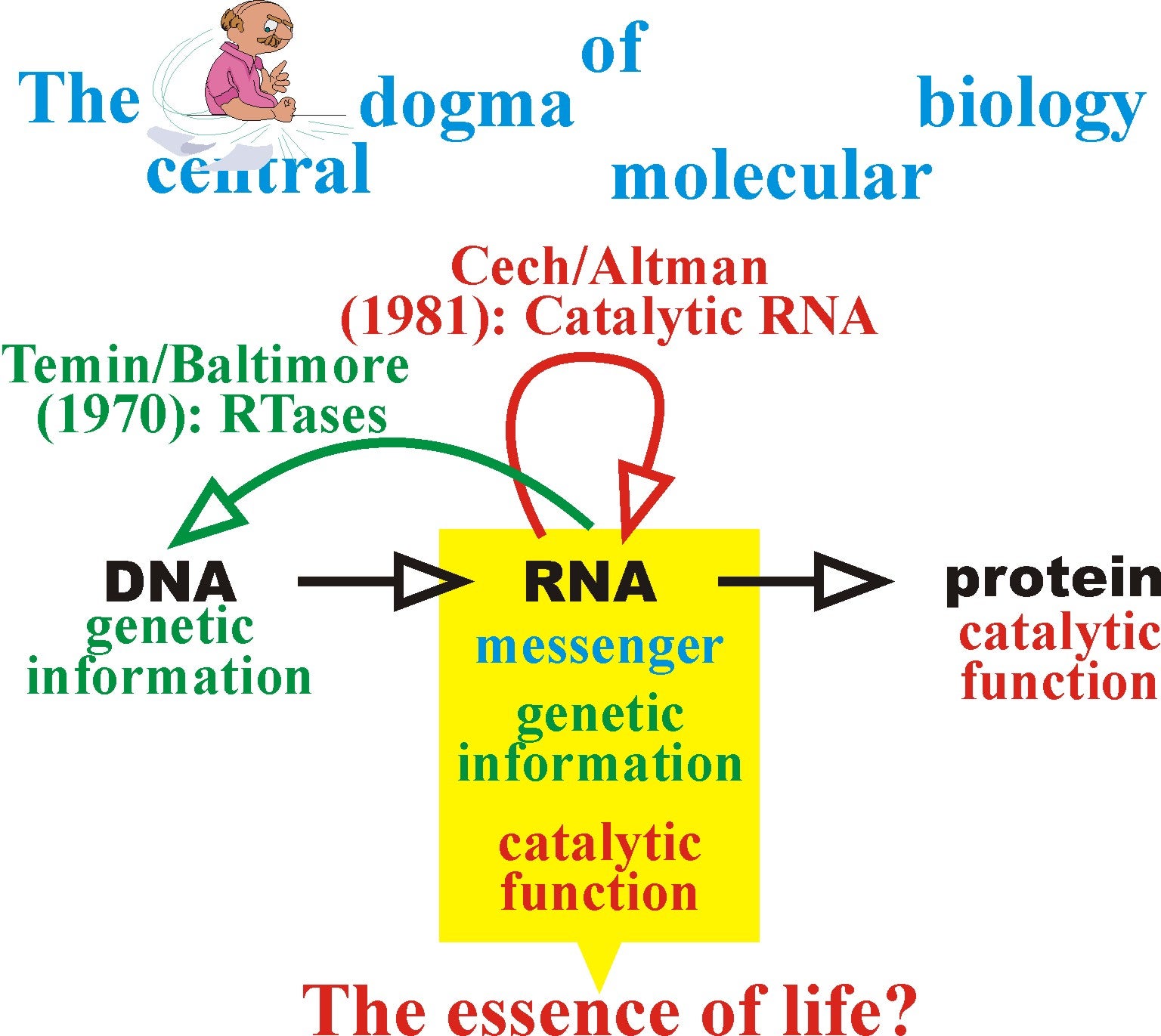 RNA World | Walter Lab