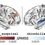 Schematic images of brains showing activation in the left middle temporal lobe for CCG and activity in the left superior temporal lobe for surprisal
