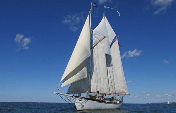 Photo of the schooner Appledore IV