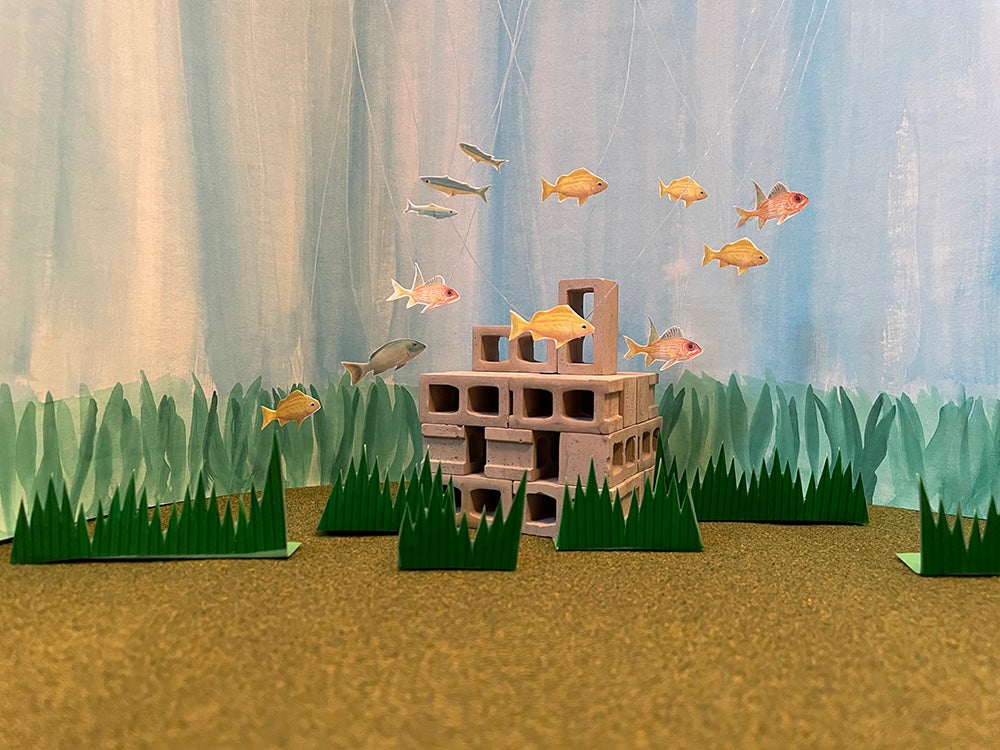 A screenshot of the undersea scape from Katrina's video showing sea grass, cinder blocks creating an artificial reef, fish, water and the sea floor