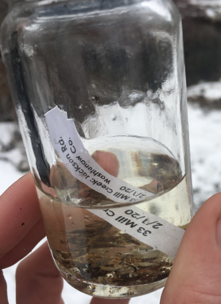 Stonefly sample bottle