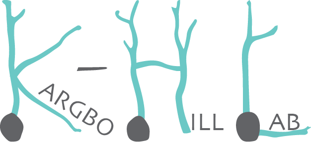 Kargbo-Hill Lab