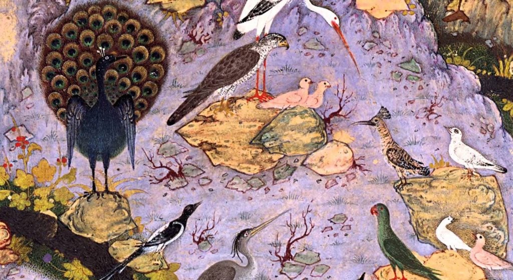 Image from The Canticle of the Birds