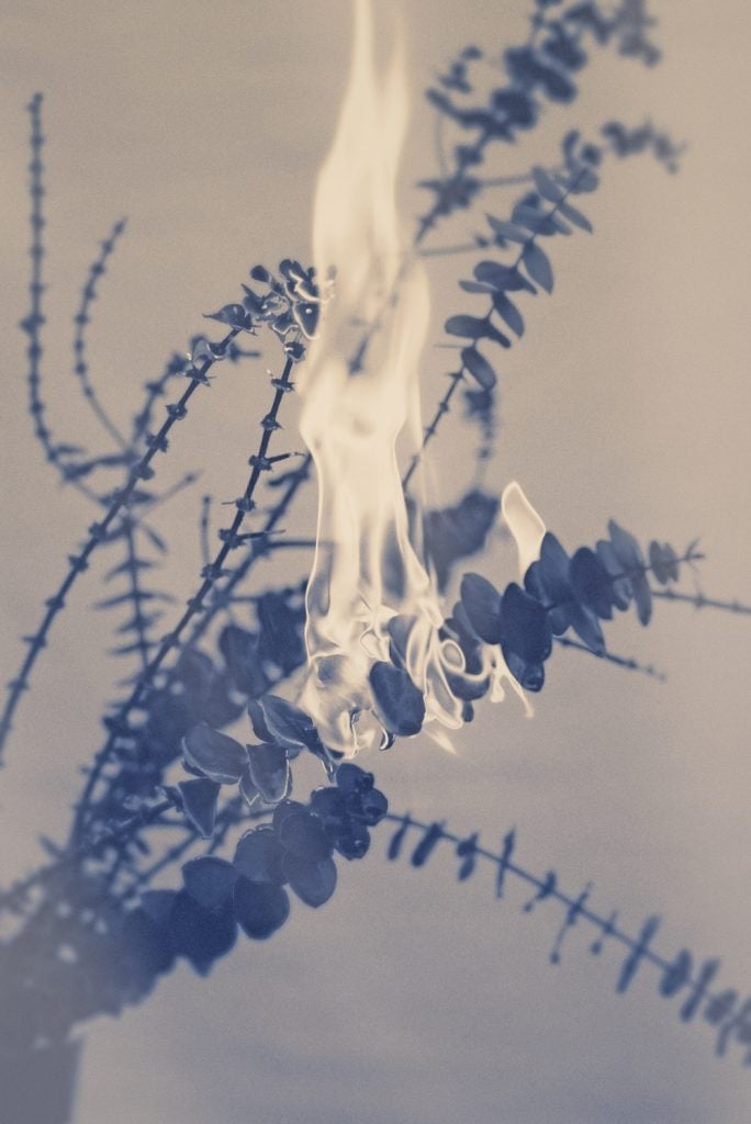 An Interview with Jordan Sullivan – Michigan Quarterly Review