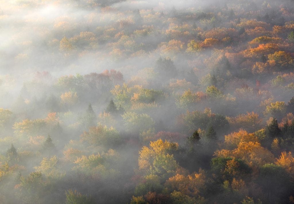 Drifting amidst Fall—Big Carp River Valley (Porcupine Mountains State Park— Upper Michigan); photograph by Aaron C. Jors.