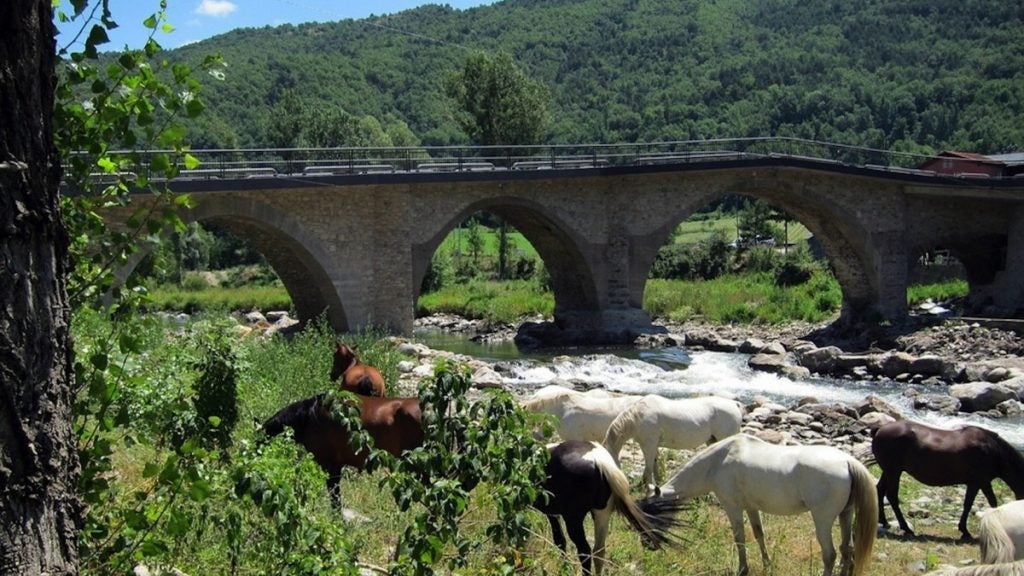 spain landscape with horses in the grass near a brick bridge