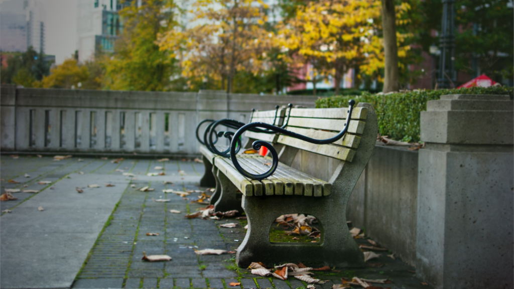 empty Chair Bench in a park during Fall