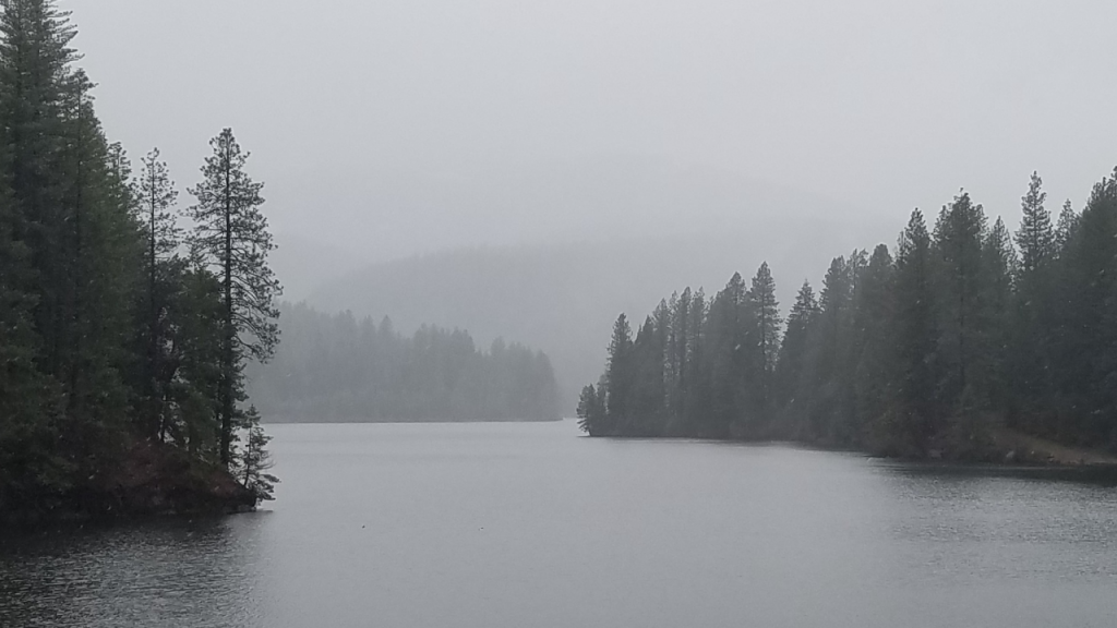 black and white ominous foggy lake surrounded by trees