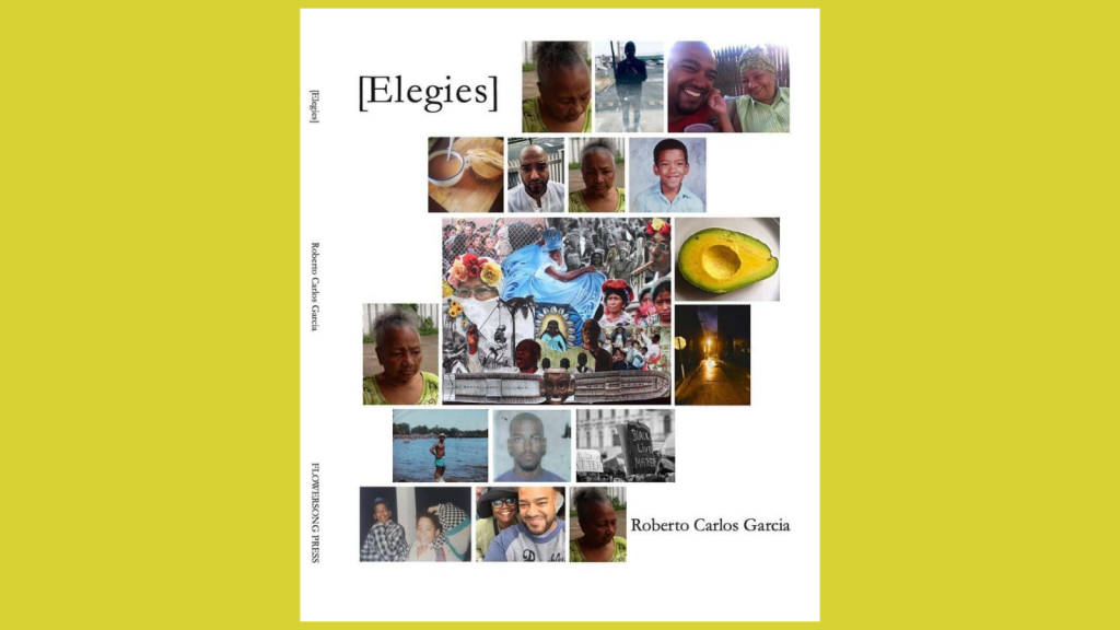[Elegies] by Roberto Carlos Garcia Book Cover