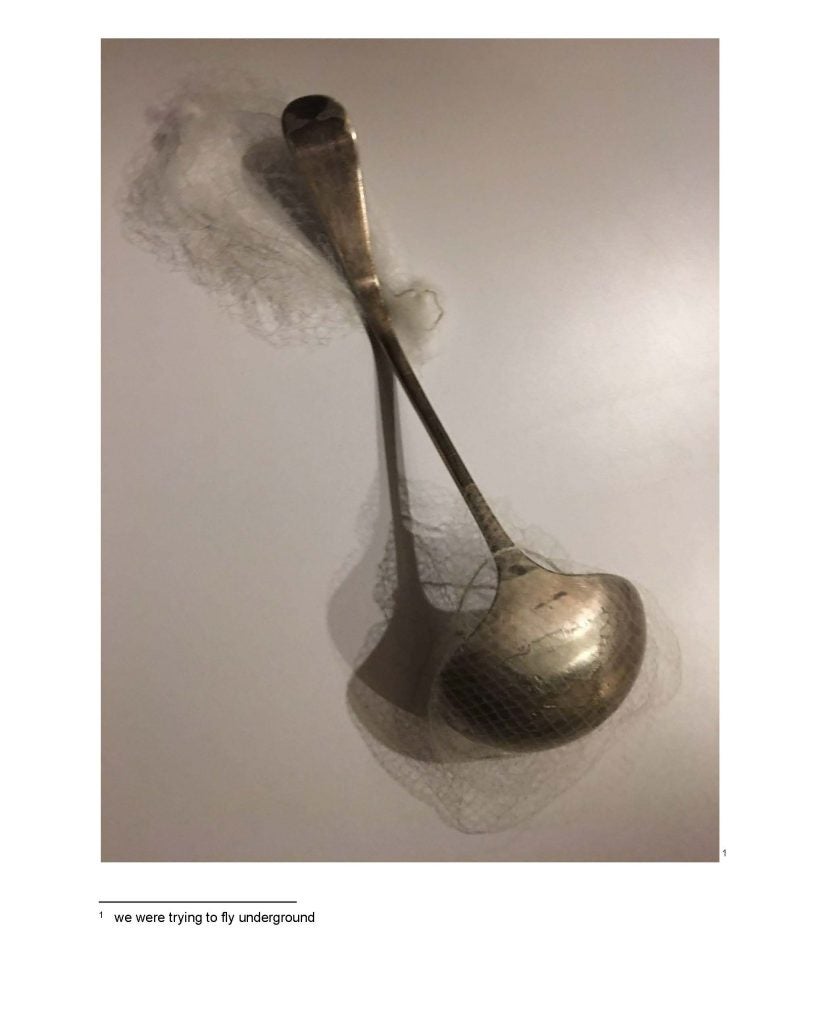 [image of a spoon with netting attached to handle and bowl]