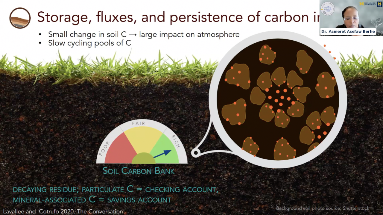 Screenshot from Dr. Berhe's talk