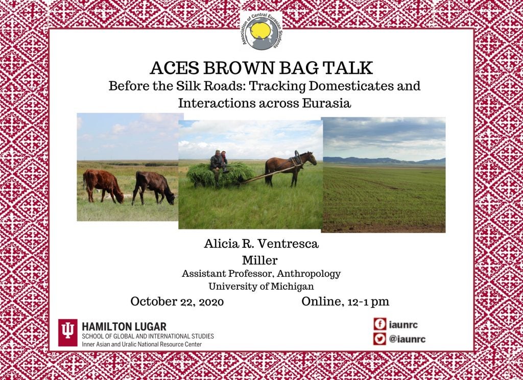 ACES Brown Bag Talk, 2020